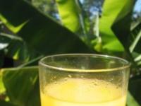 Vitaminele. Sursele si importanta lor pentru organism. Vitaminele. Sursele si importanta lor pentru organism.